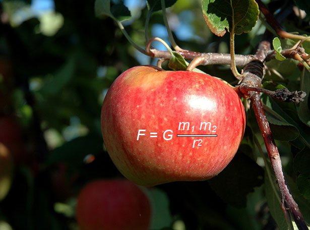 Newtons Gesetz der Gravitation funktioniert bei einem fallenden Apfel bestens.