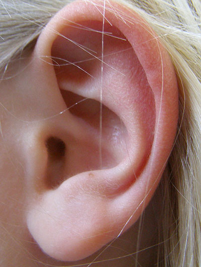 Menschliches Ohr