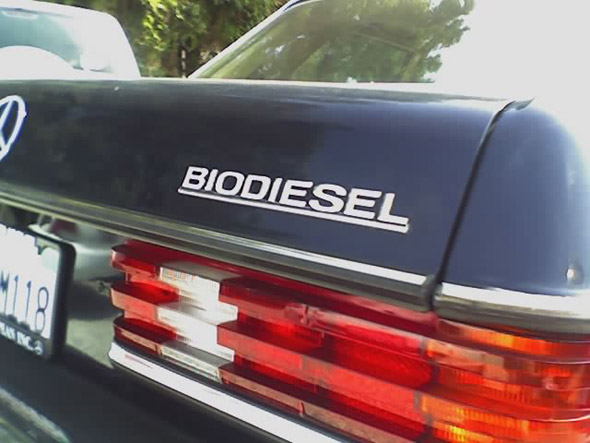 Biodiesel ersetzt zunehmend Kraftstoff aus Mineralöl.