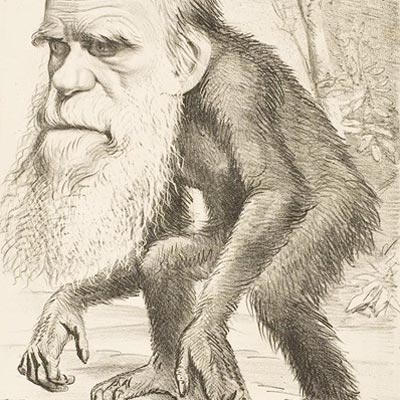 Darwin-Cartoon