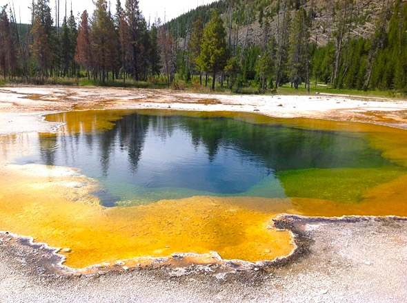 Archaeen leben unter anderen in heißen Quellen, wie der "Morning Glory Hot Spring" im Yellowstone Nationalpark.