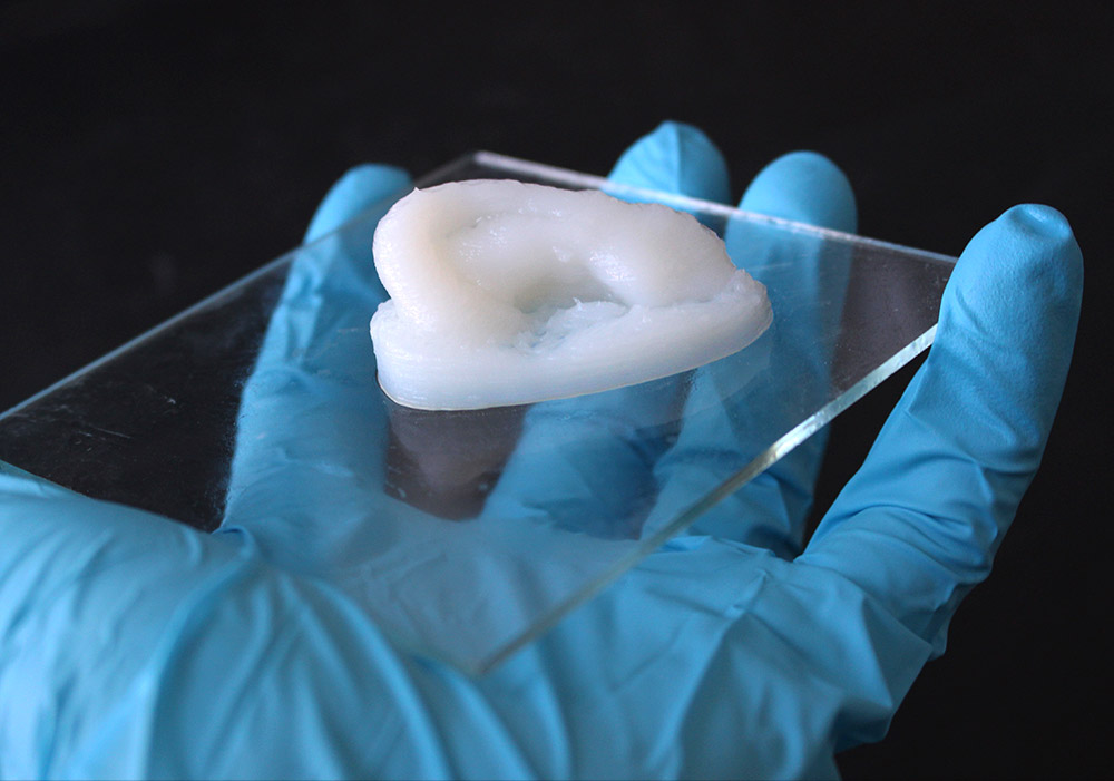 Ein Hydrogel auf Nanozellulose-Basis bildet das Gerüst für die Zucht von Knorpelgewebe für Ohrmuscheln. <span class="img-copyright">© Empa</span>