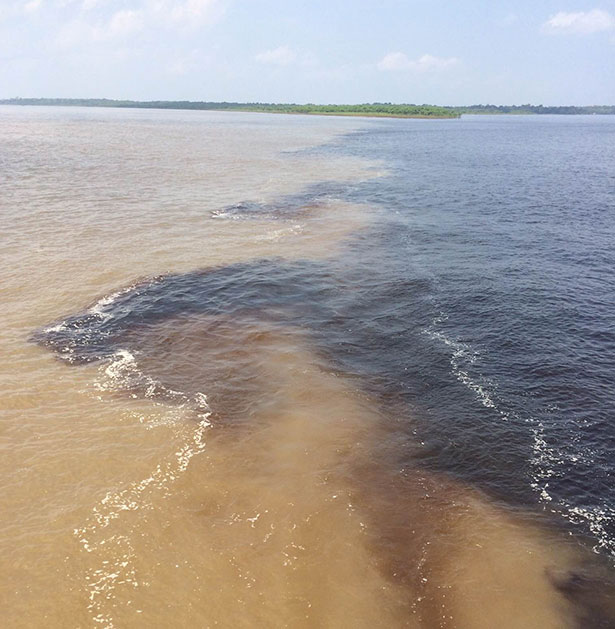 Die hohe Sedimenfracht färbt das Amazonaswasser hier hellbraun.
