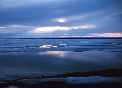 Im arktischen Sommer sind die Eisschollen inzwischen rar