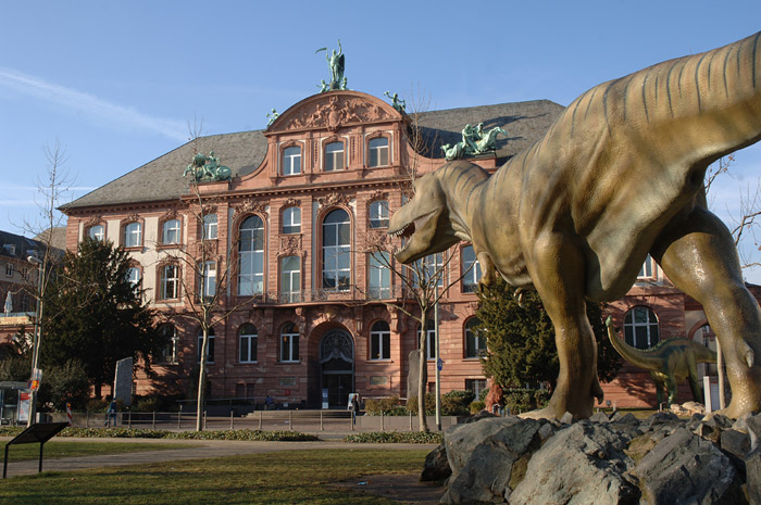 Die großen deutschen Naturkundemuseen, darunter das Senckenberg Naturmuseum, beherbergen deutlich mehr Geschichte als nur ihre Ausstellungsstücke. © Sven Tränkner