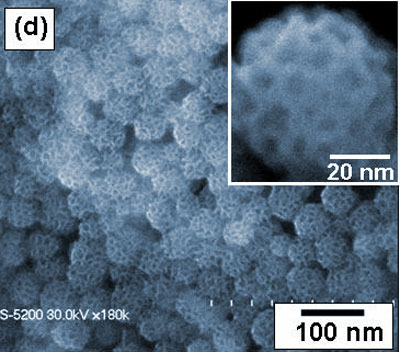 Silikat-Nanopartikel in REM-Aufnahme