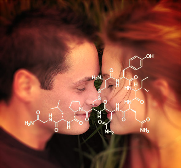 Das Kuschelhormon Oxytocin beeinflusst mehr als nur unsere Beziehung