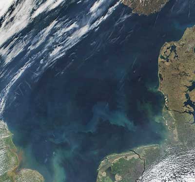 Phytoplanktonblüte in der Nordsee