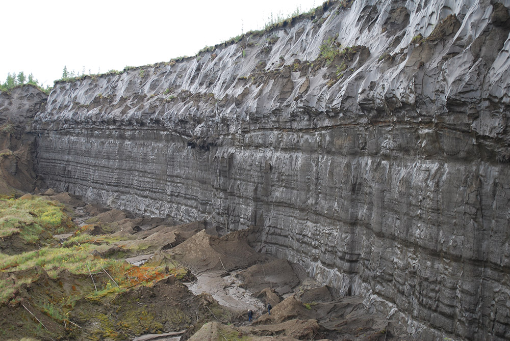Batagai-Permafrost-Abbruch in Sibirien. Die in 50 Meter tiefe ligeende Permafrostschicht ist hier schon rund 650.000 Jahre alt. <span class="img-copyright">© Thomas Opel / AWI</span>