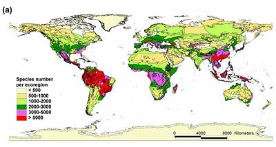 Anzahl der Gefäßpflanzen in verschiedenen Regionen der Erde