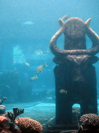So könnten die Überreste von Atlantis aussehen