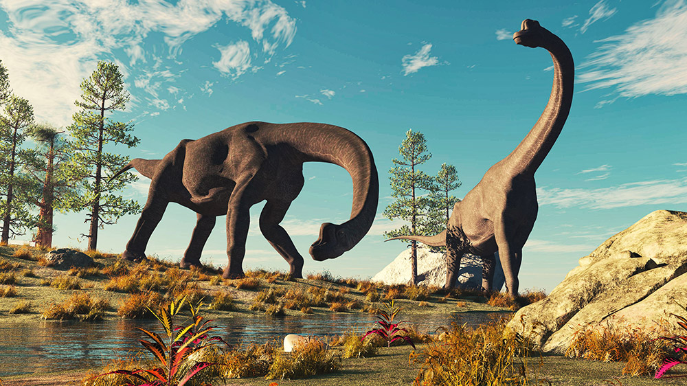 Sauropoden waren die größten Landtiere aller Zeiten. © ALLVISIONN/ Getty images