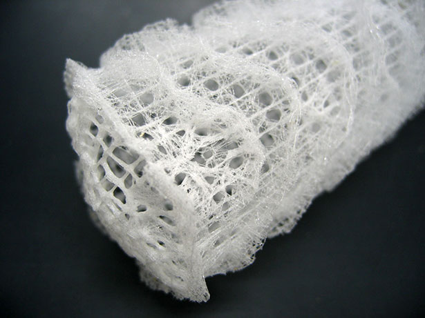 Das Skelett des Glasschwamms Euplectella besteht aus einem komplexen Netz aus glasartigen Fasern.