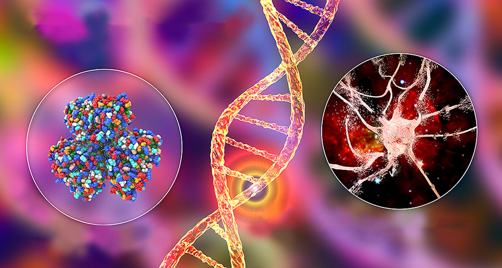 Der Großteil der seltenen Erkrankungen ist genetisch bedingt. © Dr_Microbe / Getty images