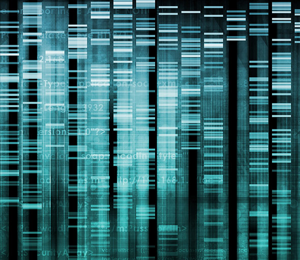 Stücke des genetischen Codes dienen als "Barcode" für die Arten.