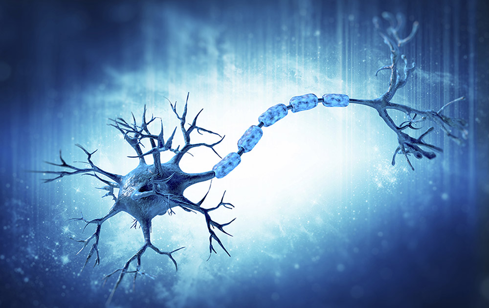 Feine Verästelungen wachsen von einer zur nächsten Nervenzelle – so können sie kommunizieren. <span class="img-copyright">© svisio / Thinkstock</span>