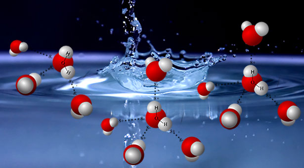 Wassermoleküle bilden zwischen sich Wasserstoffbrückenbindungen aus.