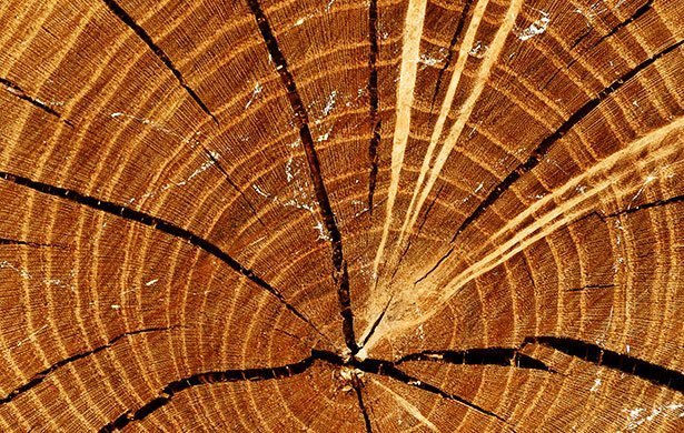 Erstaunlich Holz Dunkler Machen Bilder  www inf inet com