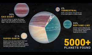 Exoplaneten-Sorten