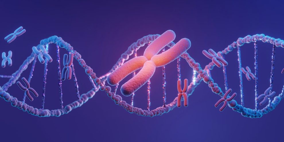 Illustration von DNA und Chromosomen