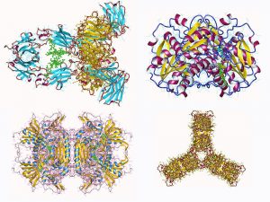 Proteinstrukturen