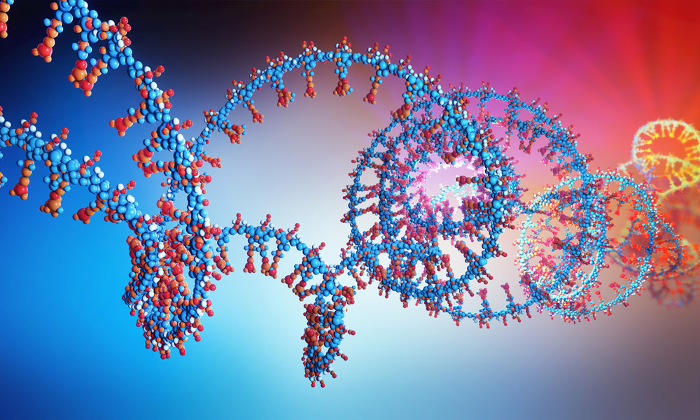 Neuer Einblick in die „RNA-Welt“
