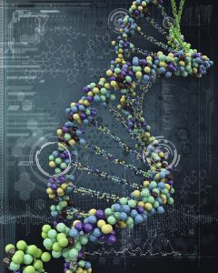 DNA-Strang