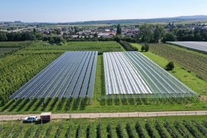 Agri-Solaranlagen und gängie Schutzfolien