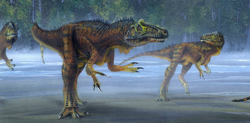 Allosaurus jimmadseni