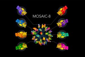 Mosaic-8-Impfstoff
