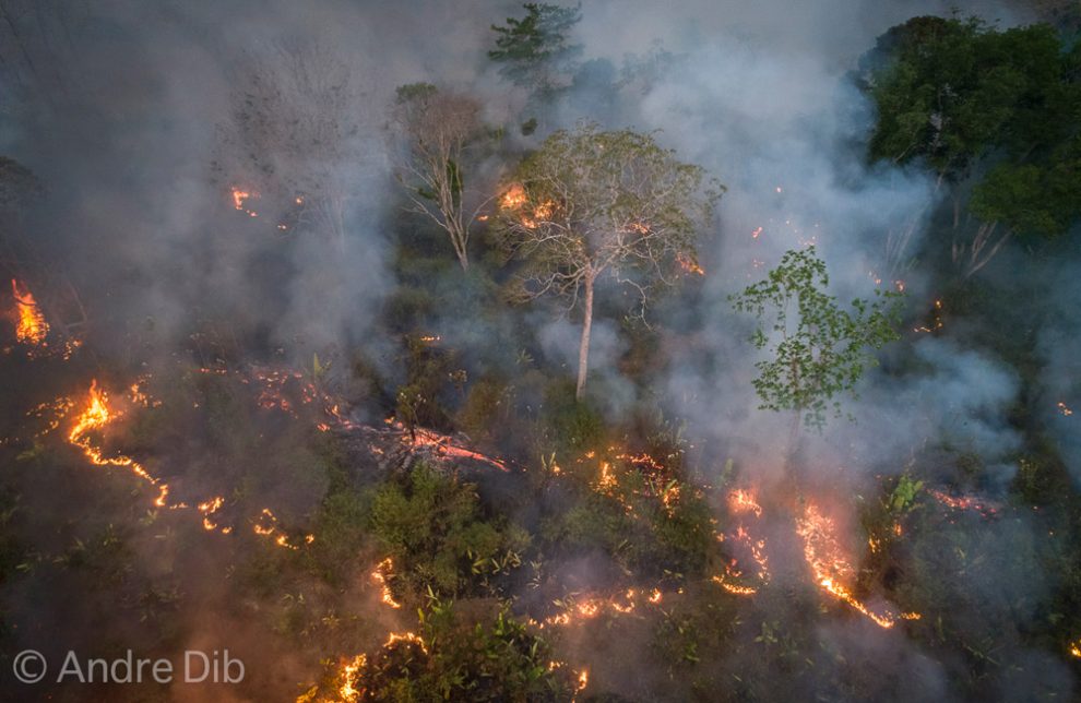 Drohnenaufnahme einer Brandrodung im Amazonas-Regenwald