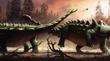 Kämpfende Ankylosaurier