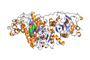 Autaxin