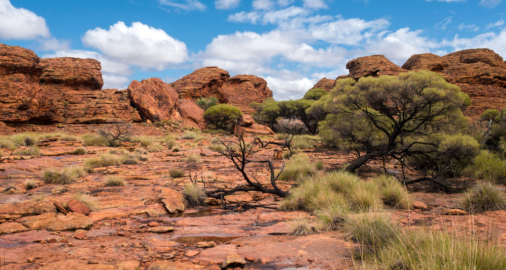 CO2-Pulse über Trockenzonen – Australischer Outback enthüllt sprunghaften CO2-Anstieg bei Regen auf trockenen Boden – scinexx.de