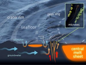 hydrothermales System