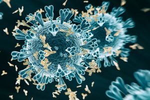 Coronavirus und Antikörper