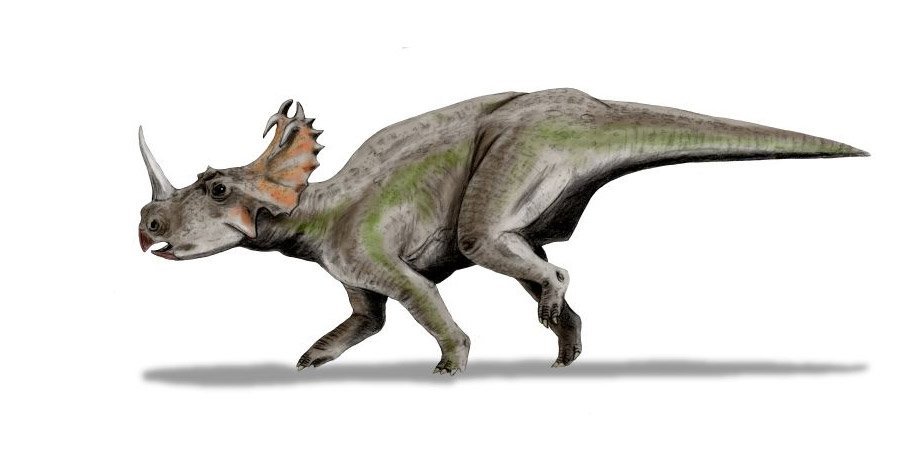 Auch Dinos Litten Schon An Krebs Knochengeschwulst Ist Erster Beleg Fur Bosartigen Tumor Bei Einem Dinosaurier Scinexx De