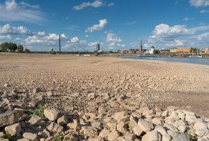 NIedrigwasser am Rhein