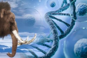 Mammut-DNA