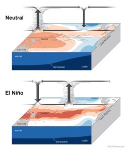 neutrale Bedingungen und El Nino