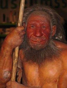 neanderthaler