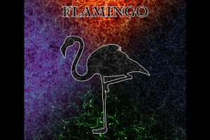 FLAMINGO-Simulation