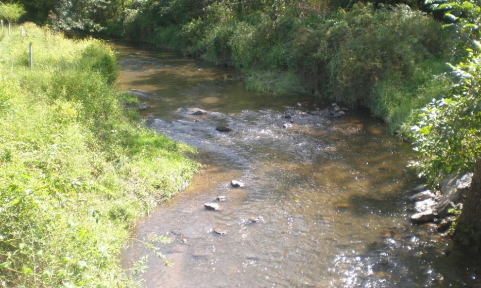 Bild eines Flussbettes