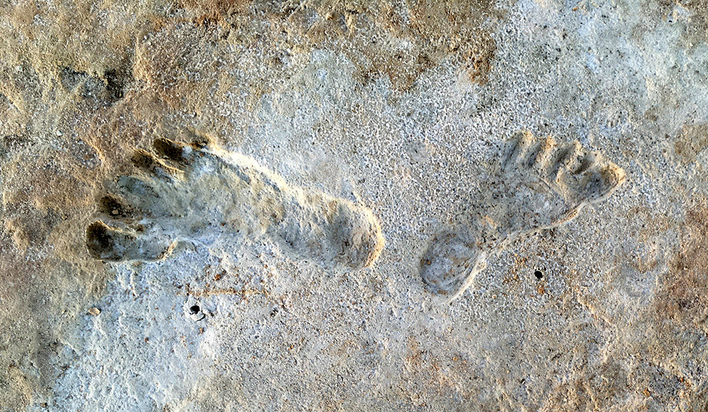 The Americas: A Pre-Ice Age Settlement?  – New dating confirms: Fossilized footprints in New Mexico are older than current theory suggests