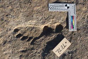 A prehistoric footprint