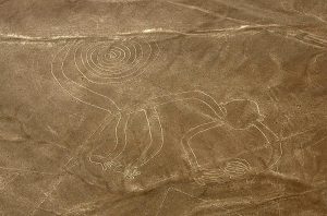 Nazca-Affe