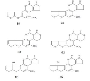 Aflatoxine