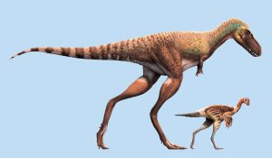 Gorgosaurus mit Beute