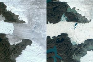 Zwei Satellitenbilder zeigen den Rückzug eines Gletschers an der Westküste Grönlands zwischen 1985 und 2022