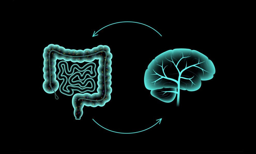 Grafische Darstellung der Kommunikation zwischen Darm und Gehirn